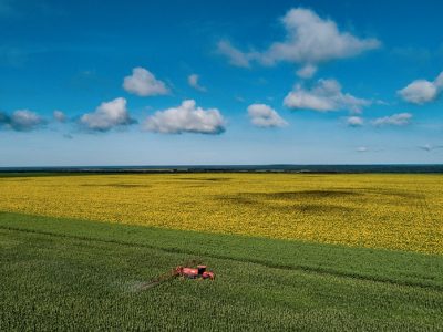 Campo Novo do Parecis (MT) é o maior produtor brasileiro de milho-pipoca